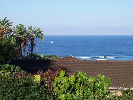 Birdcage B&B Amanzimtoti Exterior foto